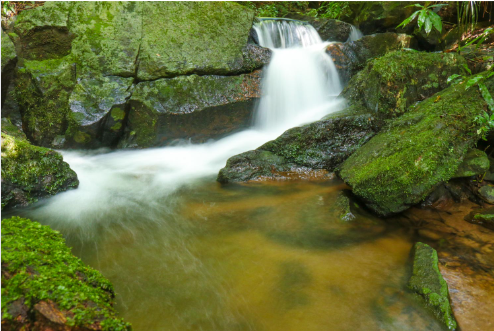 Cachoeira na Serra da Cantareira